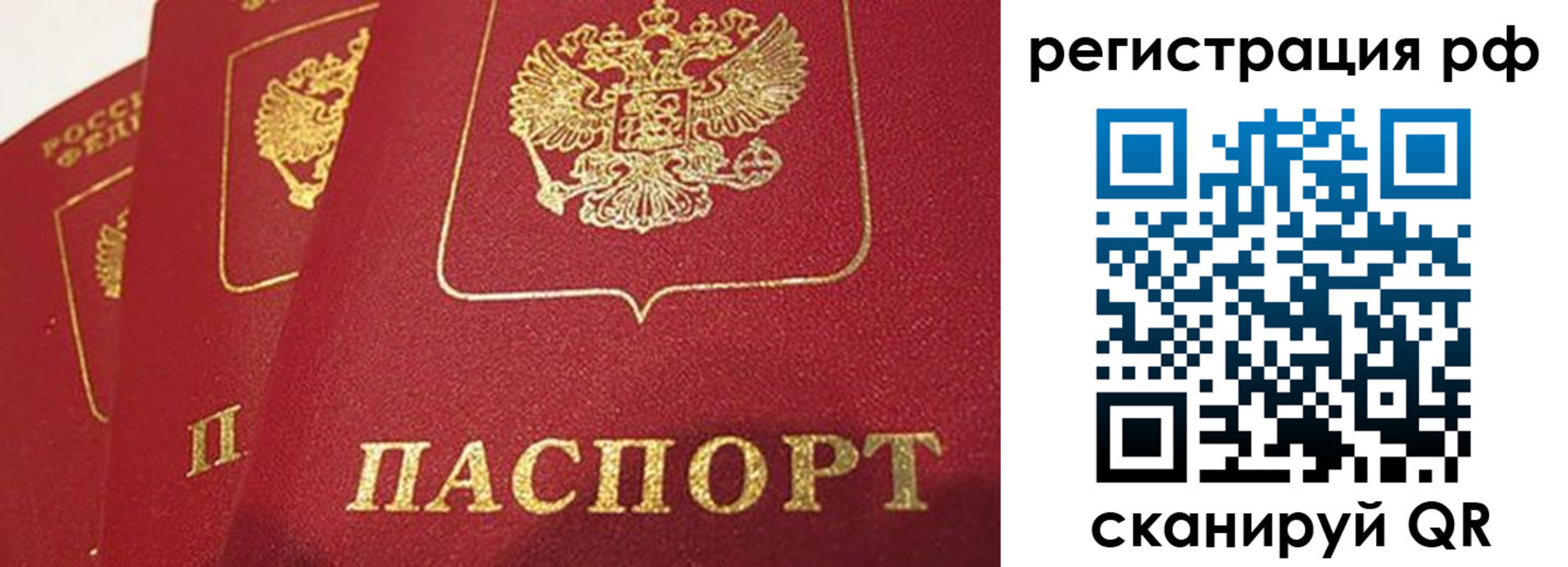 прописка в квартире в Ярославле